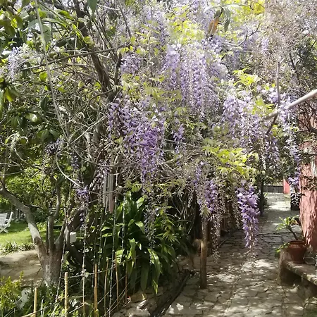 Eco Moyano * Gaucin