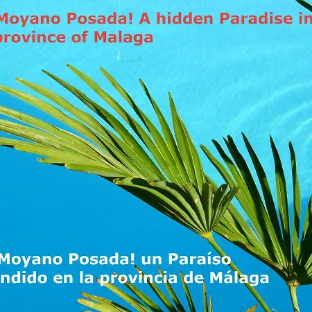Eco Moyano Lodge Gaucin