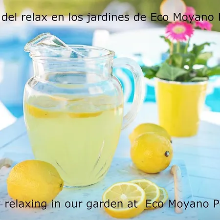 Lodge Eco Moyano Gaucin