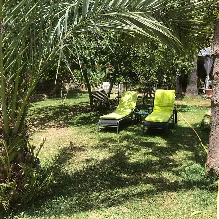 Hytte Eco Moyano