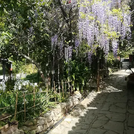 Lodge Eco Moyano Gaucin