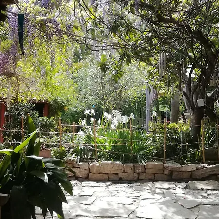 Eco Moyano Lodge Gaucin