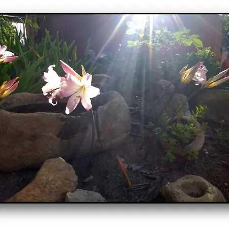 Eco Moyano Lodge *