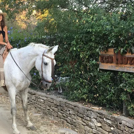 Lodge Eco Moyano