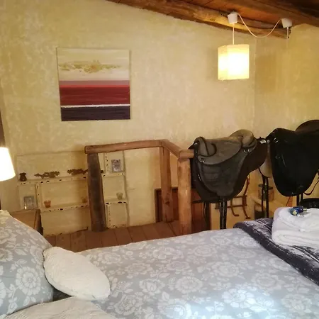 Eco Moyano Lodge *